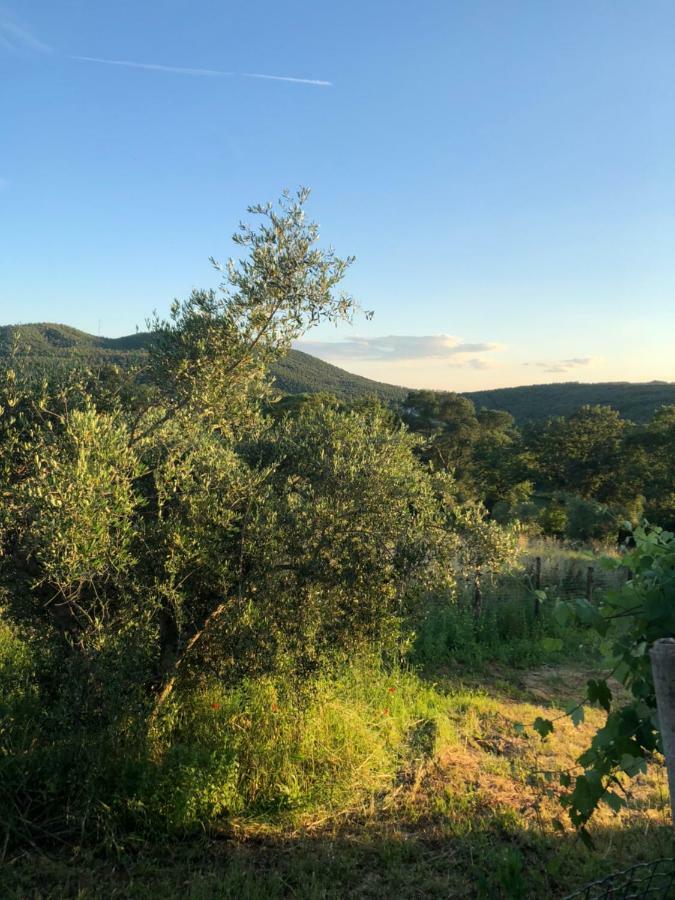 Maremma Toscana Podere Poggiarelli Campagnatico Exterior photo
